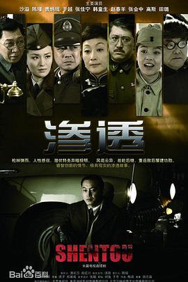 中文精品久久久久国产网址